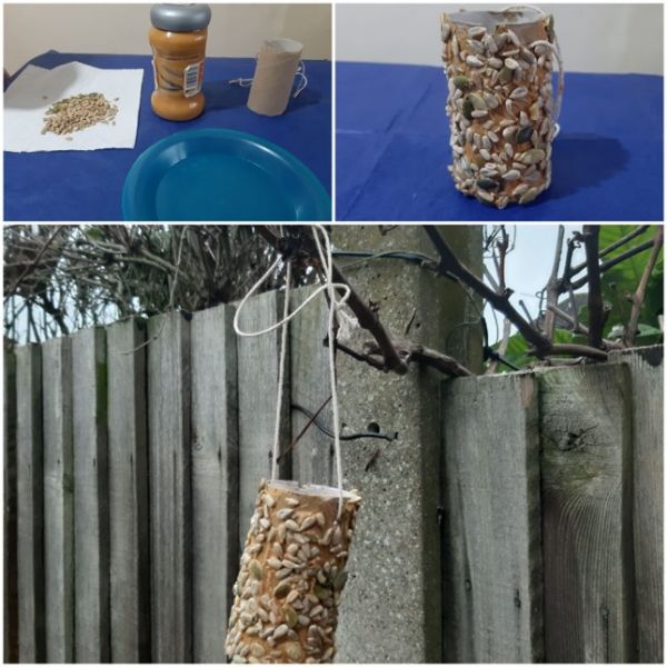 Zoey's Bird Feeder