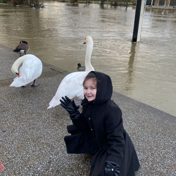Alexis feeding the swans