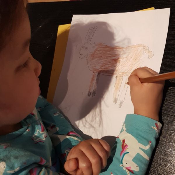 Ariha drawing Billy Goat