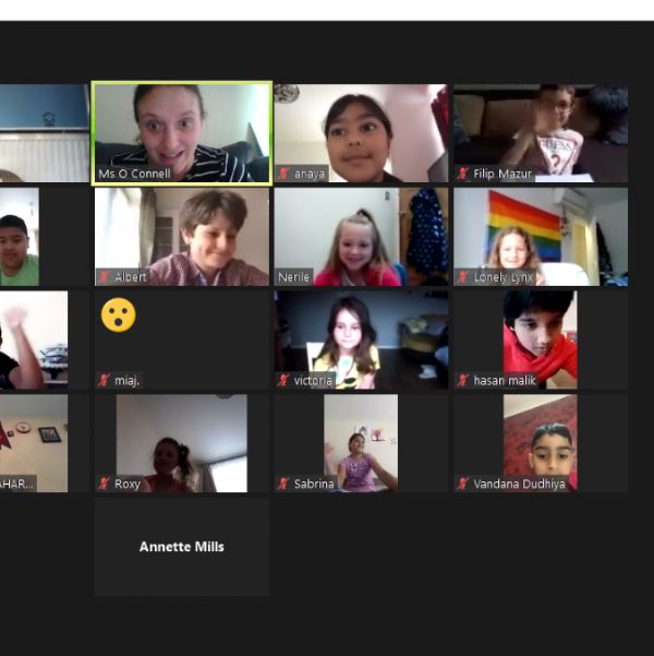 Year 3 Zoom Meeting