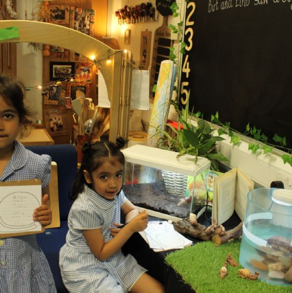 Reception learning about life cycles