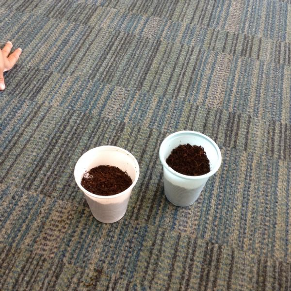 IMG1552