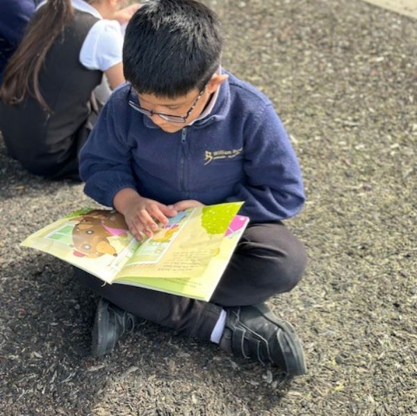 Reading in the sun