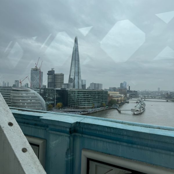 IMG4538